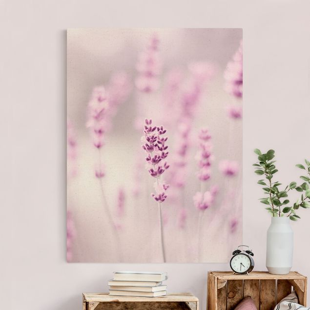 Wandbilder Gräser Zartvioletter Lavendel