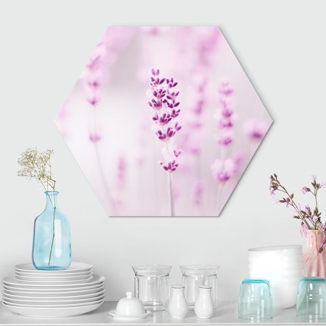 Wandbilder Zartvioletter Lavendel