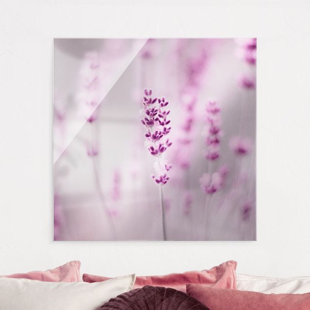 XXL Glasbilder Zartvioletter Lavendel