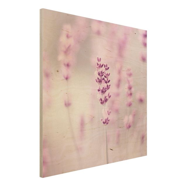 Holzbild - Zartvioletter Lavendel - Quadrat