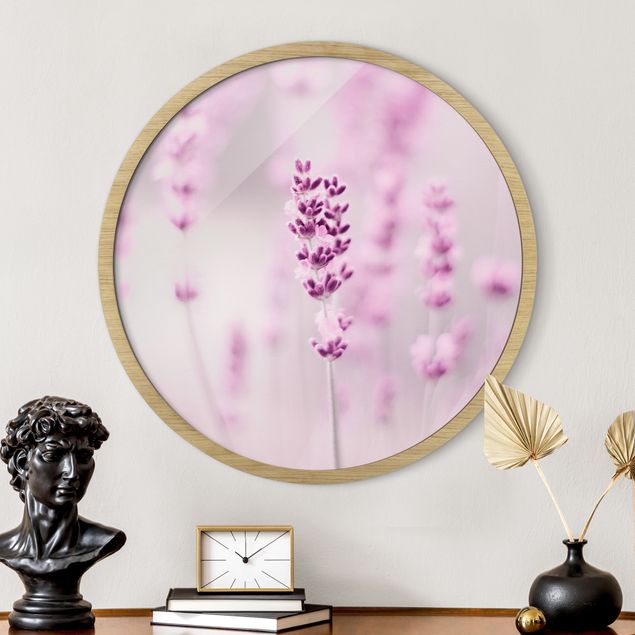 Bild rund Zartvioletter Lavendel