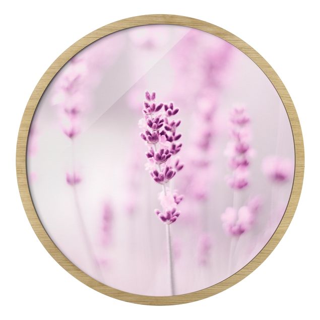 Wandbilder mit Rahmen Zartvioletter Lavendel