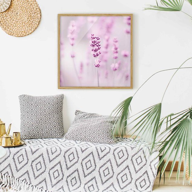 Schöne Wandbilder Zartvioletter Lavendel