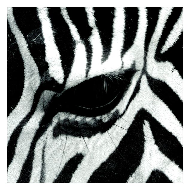 Fototapete - Zebra Crossing - Quadrat