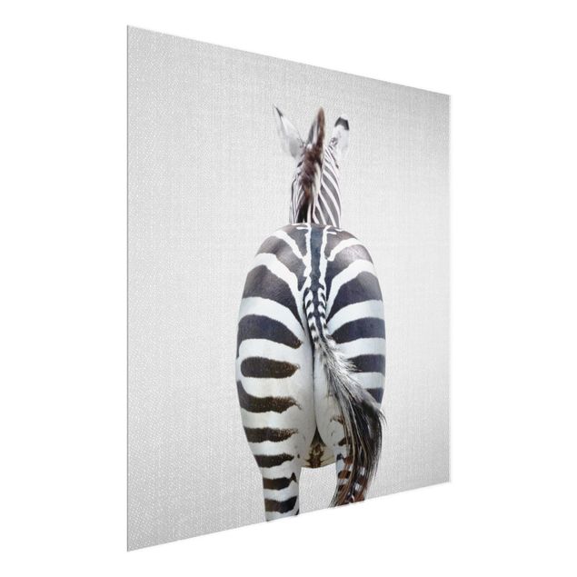 Glasbild Tiere Zebra von hinten