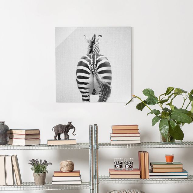 Glasbild Schwarz-Weiß Zebra von hinten Schwarz Weiß