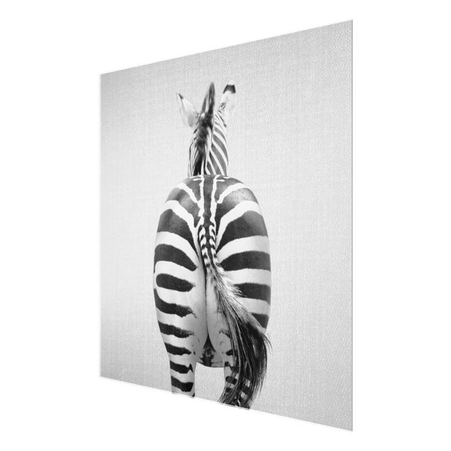 Glasbilder Zebra von hinten Schwarz Weiß