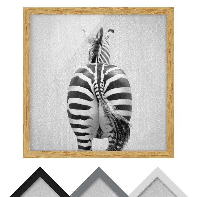 Bild mit Rahmen - Zebra von hinten Schwarz Weiß - Quadrat - 1:1