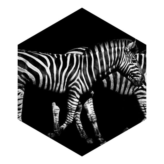 Hexagon Mustertapete selbstklebend - Zebra vor Schwarz