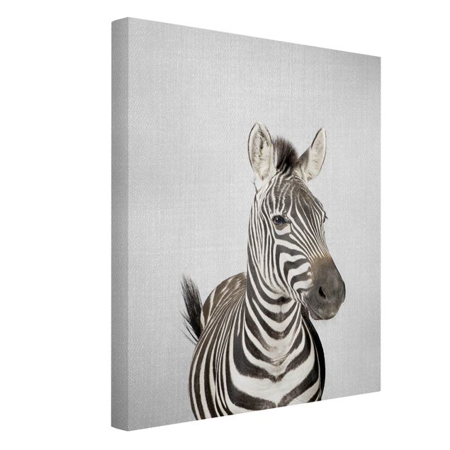 Wandbilder Schwarz-Weiß Zebra Zilla