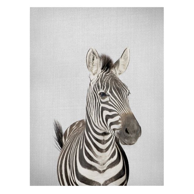 Leinwandbilder Tier Zebra Zilla