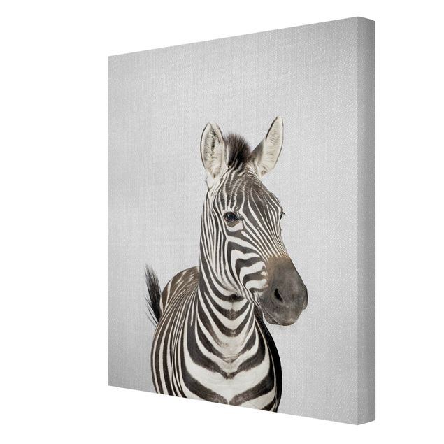 Leinwandbilder Wohnzimmer modern Zebra Zilla