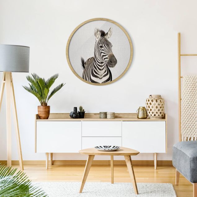 Wandbilder Tiere Zebra Zilla
