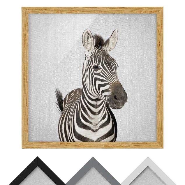 Bild mit Rahmen - Zebra Zilla - Quadrat - 1:1