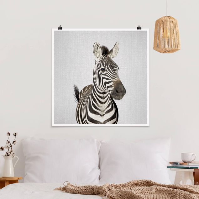 Wandbilder Tiere Zebra Zilla