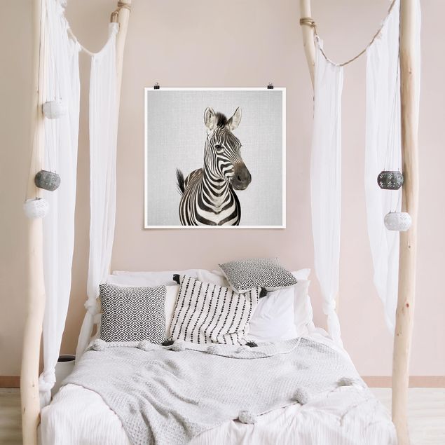 Schwarz-Weiß Poster Zebra Zilla
