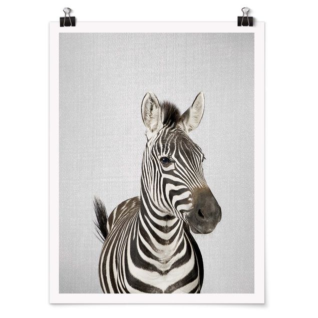 Tierposter Zebra Zilla