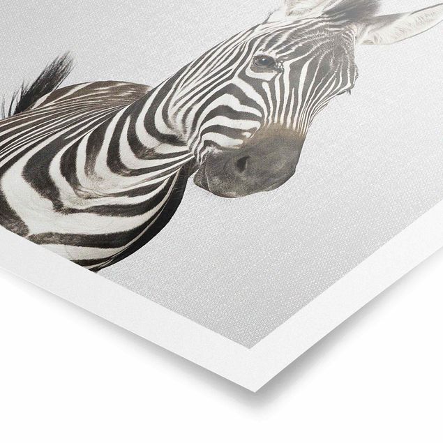 Schöne Wandbilder Zebra Zilla
