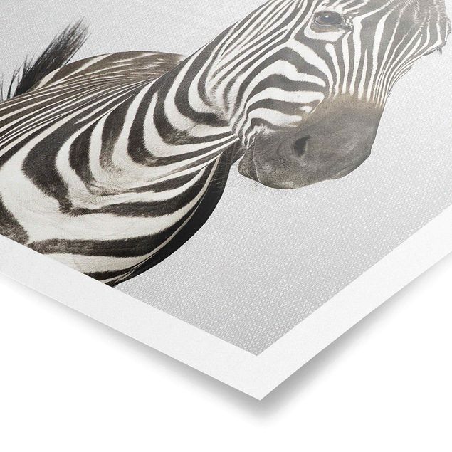 Bilder für die Wand Zebra Zilla