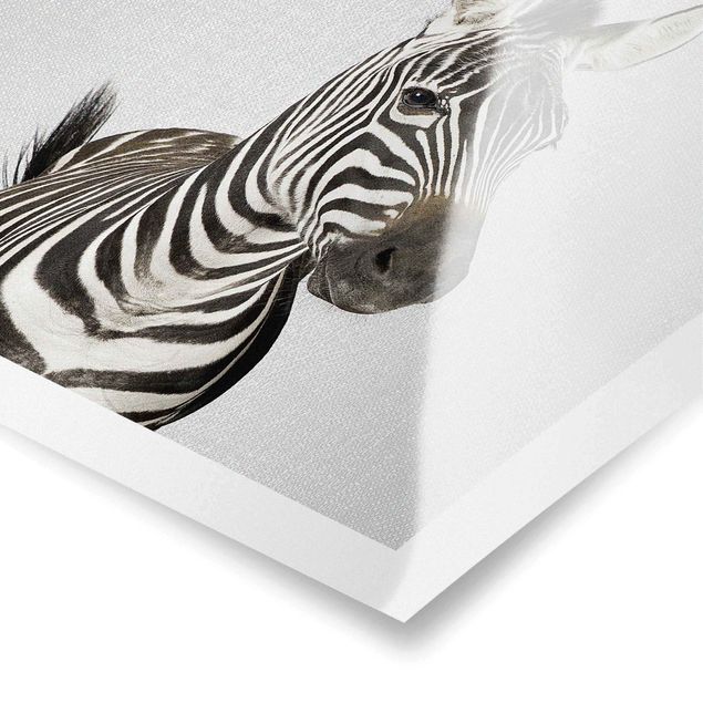 Poster bestellen Zebra Zilla