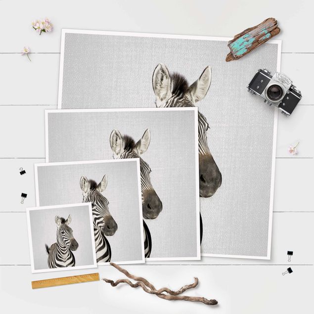 Poster - Zebra Zilla - Quadrat 1:1