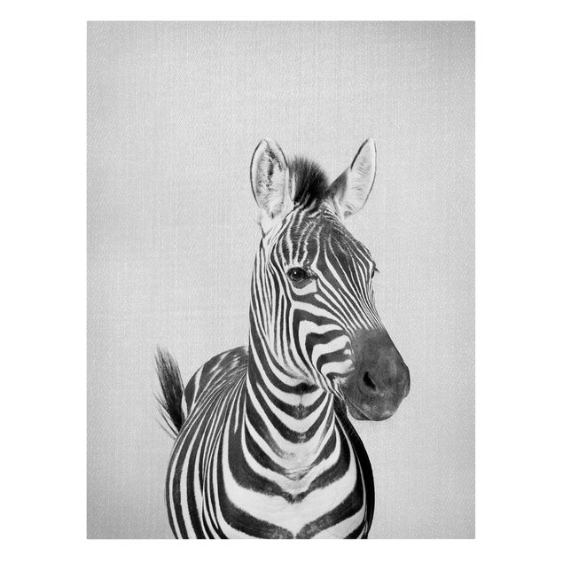 Tierbilder auf Leinwand Zebra Zilla Schwarz Weiß