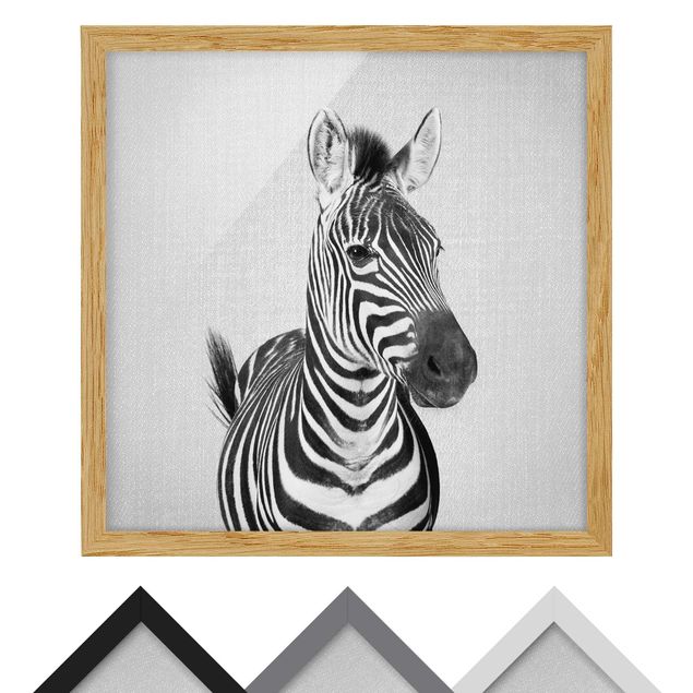 Bild mit Rahmen - Zebra Zilla Schwarz Weiß - Quadrat - 1:1