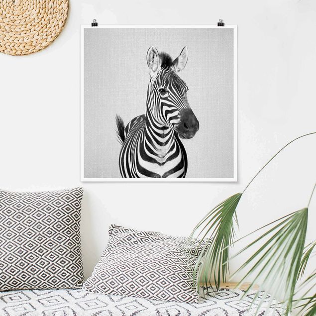 Wandbilder Tiere Zebra Zilla Schwarz Weiß