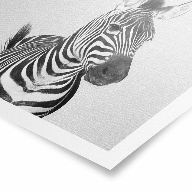 Schöne Wandbilder Zebra Zilla Schwarz Weiß