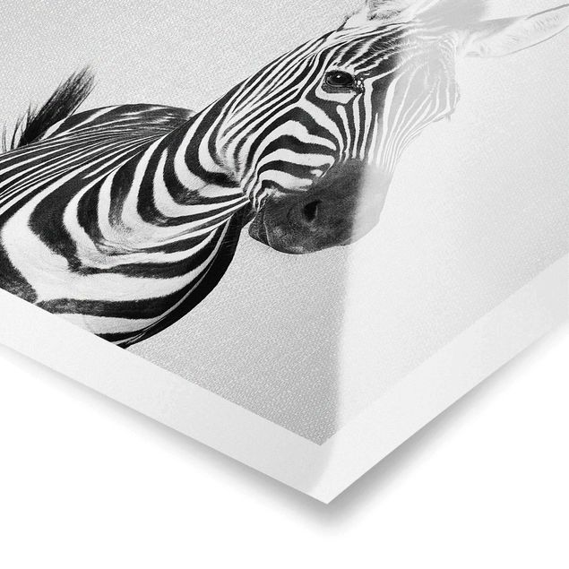 Poster bestellen Zebra Zilla Schwarz Weiß