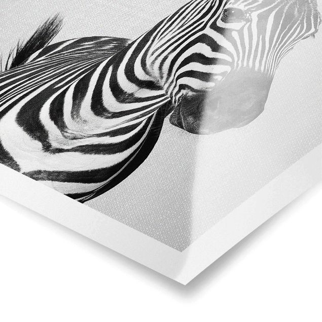 Poster kaufen Zebra Zilla Schwarz Weiß