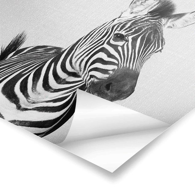 Poster - Zebra Zilla Schwarz Weiß - Quadrat 1:1