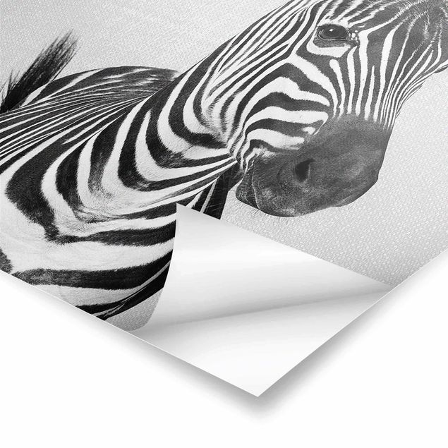 Poster - Zebra Zilla Schwarz Weiß - Hochformat 3:4