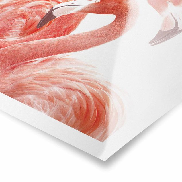 Poster - Zwei Flamingos - Hochformat 3:4