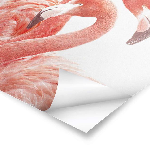 Poster - Zwei Flamingos - Hochformat 3:4
