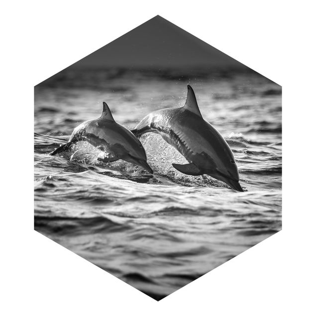 Fototapeten Zwei springende Delfine
