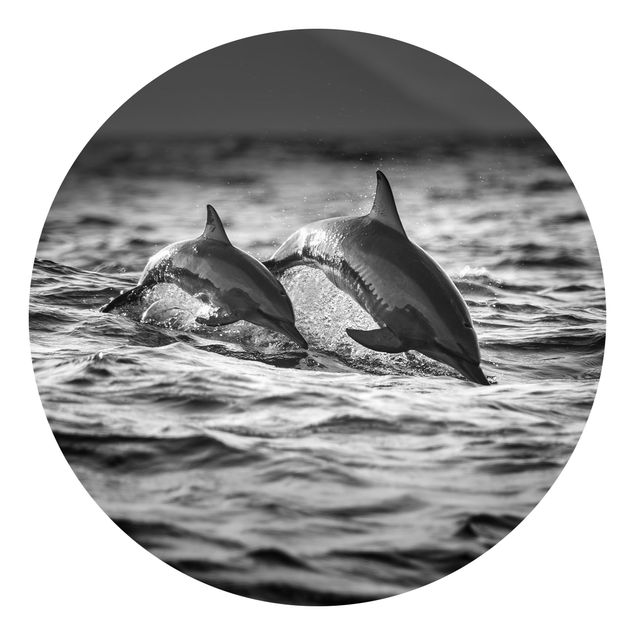 Tapeten modern Zwei springende Delfine