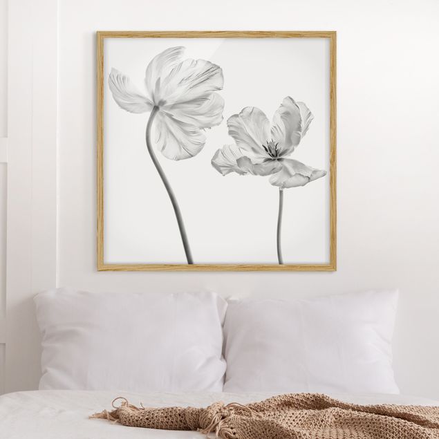 Gerahmte Bilder Blumen Zwei zarte weiße Tulpen